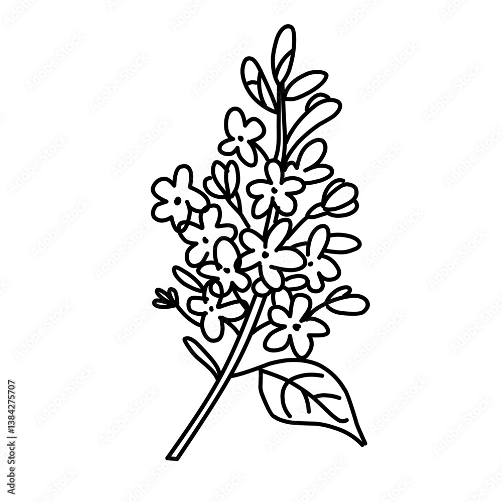 Fototapeta premium black and white flowers
