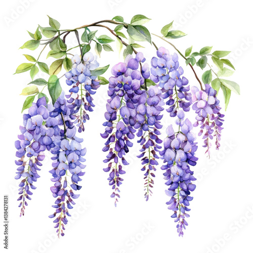 Blooming wisteria flowers cascading down in vibrant purple hues create serene and enchanting atmosphere