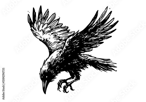 Raven Hand Drawn Illustration Black and White Vector Isolated