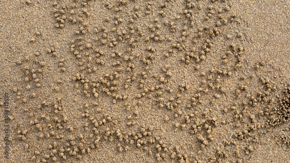 Close-up of tiny sand balls meticulously arranged by sand bubbler crabs on the beach. The unique formations reveal the natural patterns left behind by these small marine creatures. Close-up of tiny sand balls meticulously arranged by sand bubbler crabs on the beach. The unique formations reveal the natural patterns left behind by these small marine creatures.
