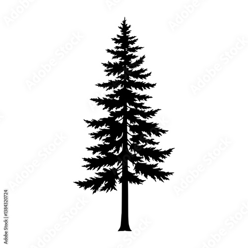 Evergreen Pine Tree Silhouette Image | Forest Shadow