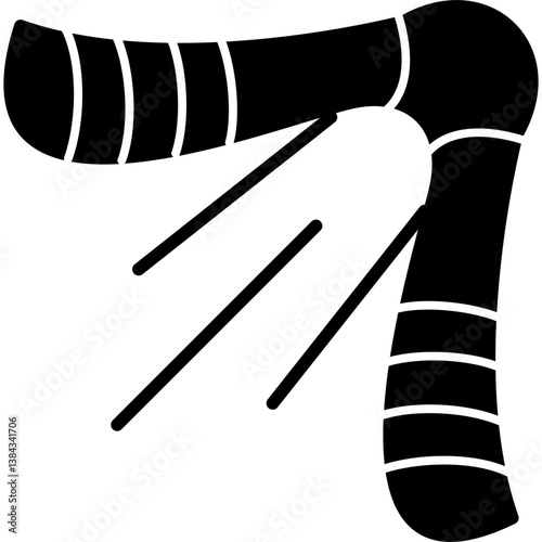 Boomerang Icon