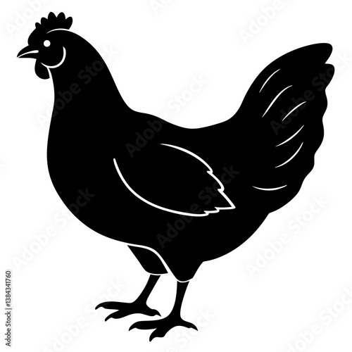 hen and rooster