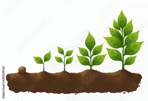 Seed to Plant Growth Stages in Brown Soil