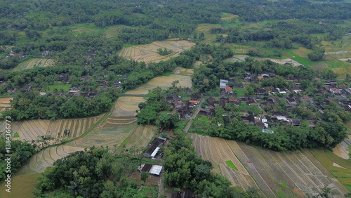Lush Tropical Countryside Landscape in Indonesia