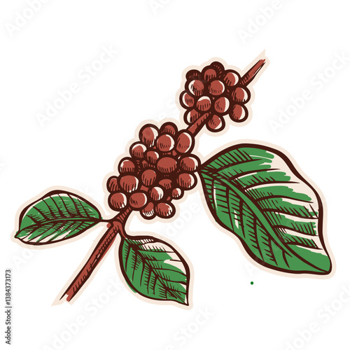 Branch Coffee Hand-Drawn Vintage Stickers for Coffee Brewing Enthusiasts