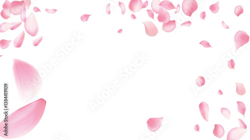 Sakura petal spring blossom on white banner. Pink rose composition. Flower flying background. Beauty Spa product frame with gorgeous rose petal greeting card design.