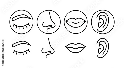A set of icons for eyes, mouth, nose and ears.
