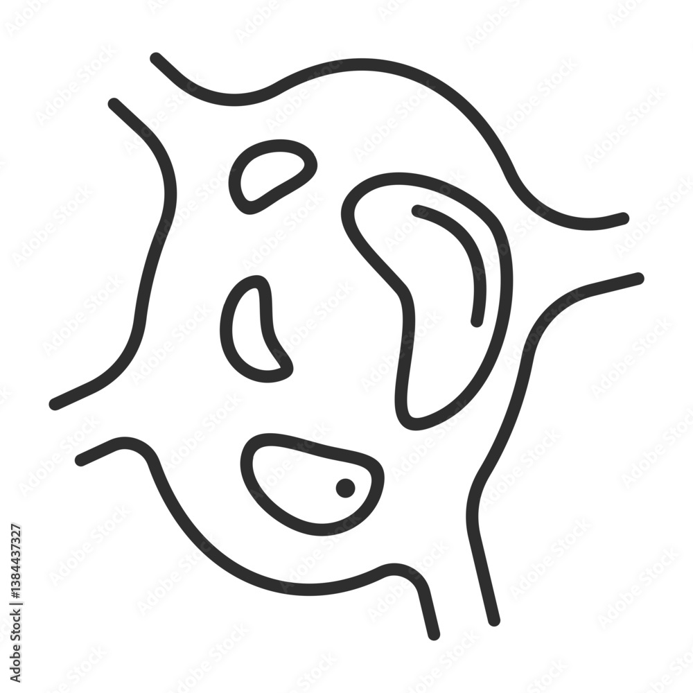 Obraz premium Anatomy