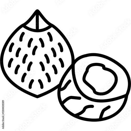 Coconut Icon