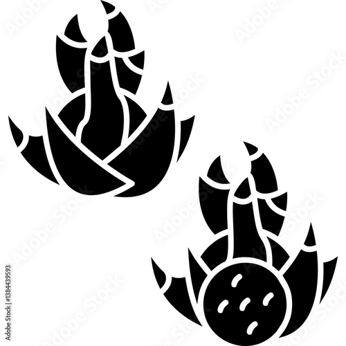 Dragon Fruit Icon