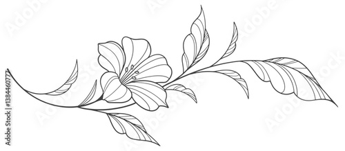 Flower outline on transparent background vector. floral, flowers, leaves, foliage, branches in hand drawn. Floral element design