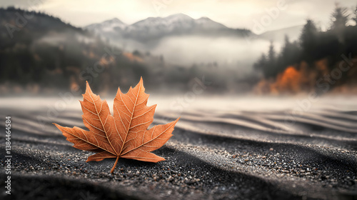 Single Orange Maple Leaf on Dark Sand with Foggy Mountain Background