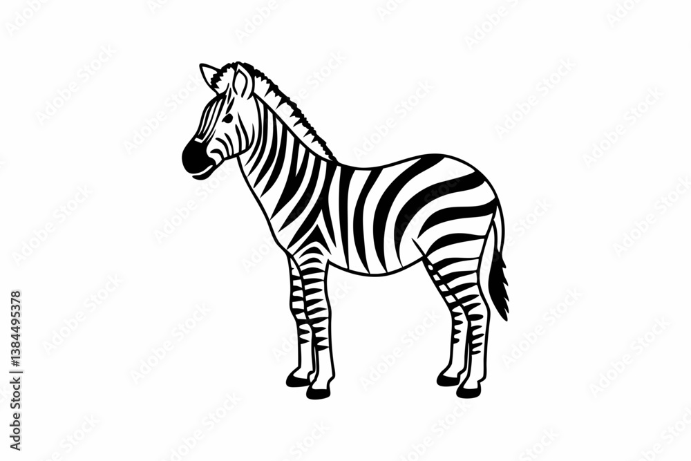 Obraz premium zebra vector illustration