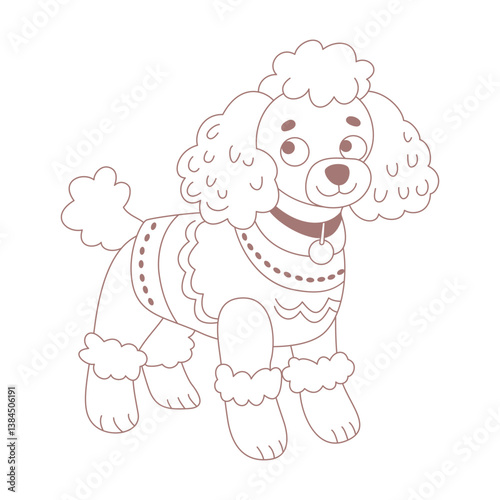 A cute poodle in a sweater.
