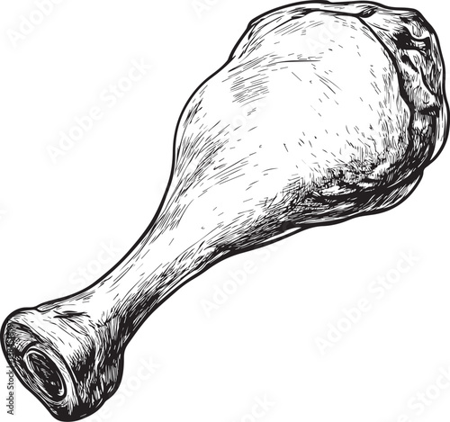 Detailed Chicken Leg Sketch Illustration on isolated white background