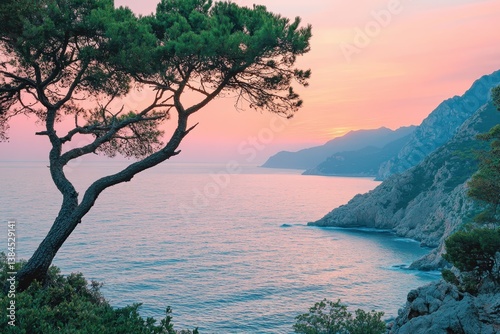 wild nature by the sea at sunset
