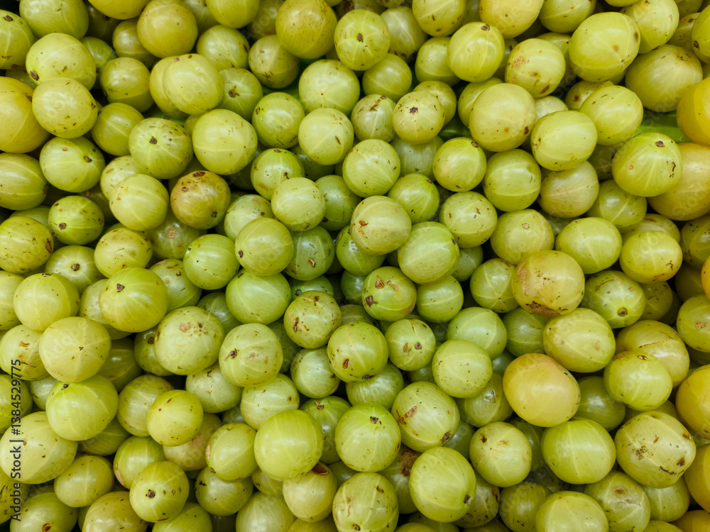 Phyllanthus emblica, also known as emblic, emblic myrobalan, nellikai, Indian gooseberry, Malacca tree, amloki or green amla, is a deciduous tree of Phyllanthaceae family. most medicinal herbal fruit. Phyllanthus emblica, also known as emblic, emblic myrobalan, nellikai, Indian gooseberry, Malacca tree, amloki or green amla, is a deciduous tree of Phyllanthaceae family. most medicinal herbal fruit.
