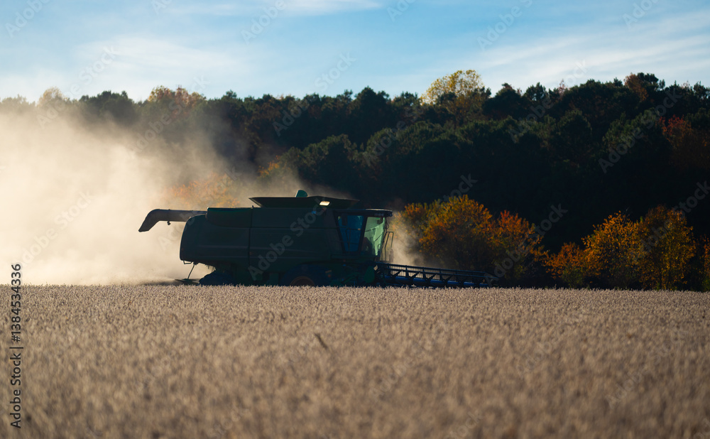 Fototapeta premium Straw and grain harvesting. Combine harvester in a wheat field. Harvesting on rural farm. Combine harvester machinery. Agricultural Combine harvester at work. Rural landscape with a combine harvester.