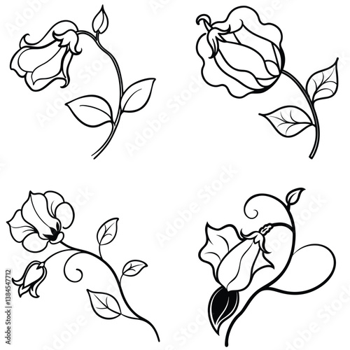 A sweet pea flower icon with delicate, ruffled petals on a climbing 
vine. 