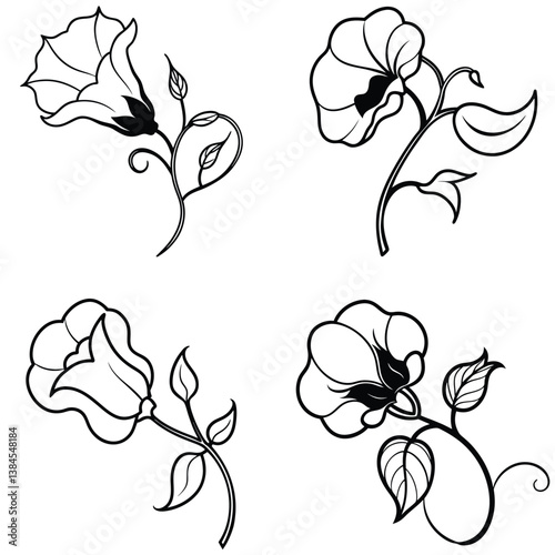 A sweet pea flower icon with delicate, ruffled petals on a climbing 
vine. 