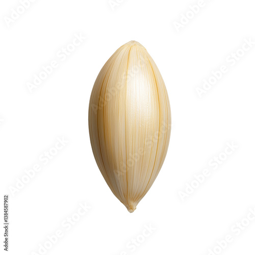 Obraz na płótnie Single, closed, light-colored clam shell on a white background isolated against a transparent background. w salonie