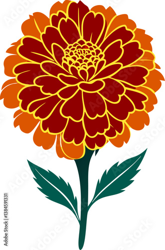 Beautiful merigold vector art illustration