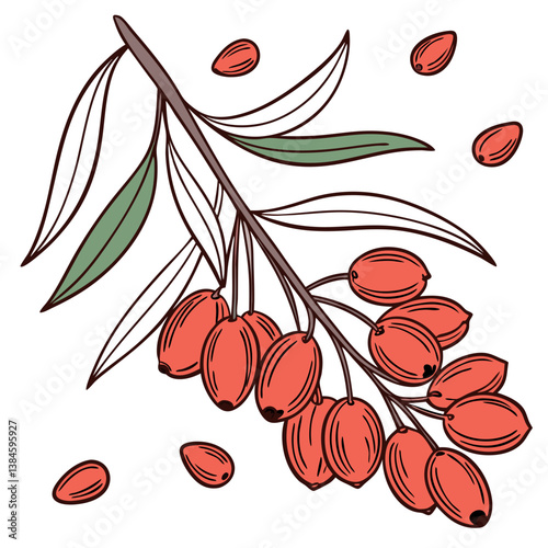Goji Berries Vector on White Background. Perfect for: Chinese New Year, Wellness Markets, Superfood Trends