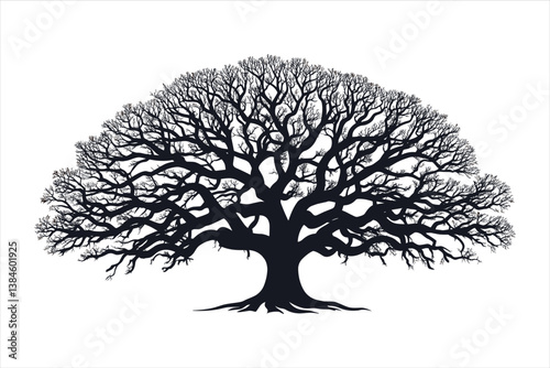 Tree silhouette 