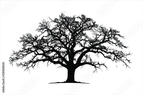 Tree silhouette 
