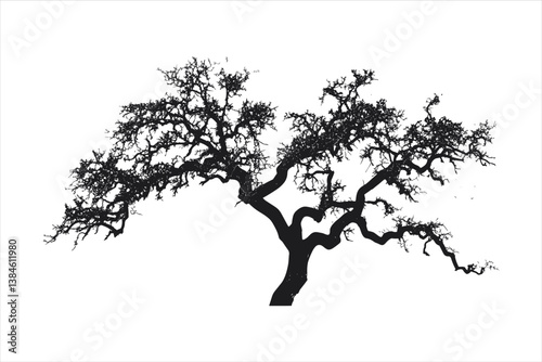 Tree silhouette 