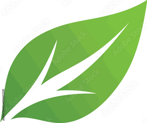 Green leaf logo vector illustration nature plant eco design element icon symbol graphic sign isolated 100