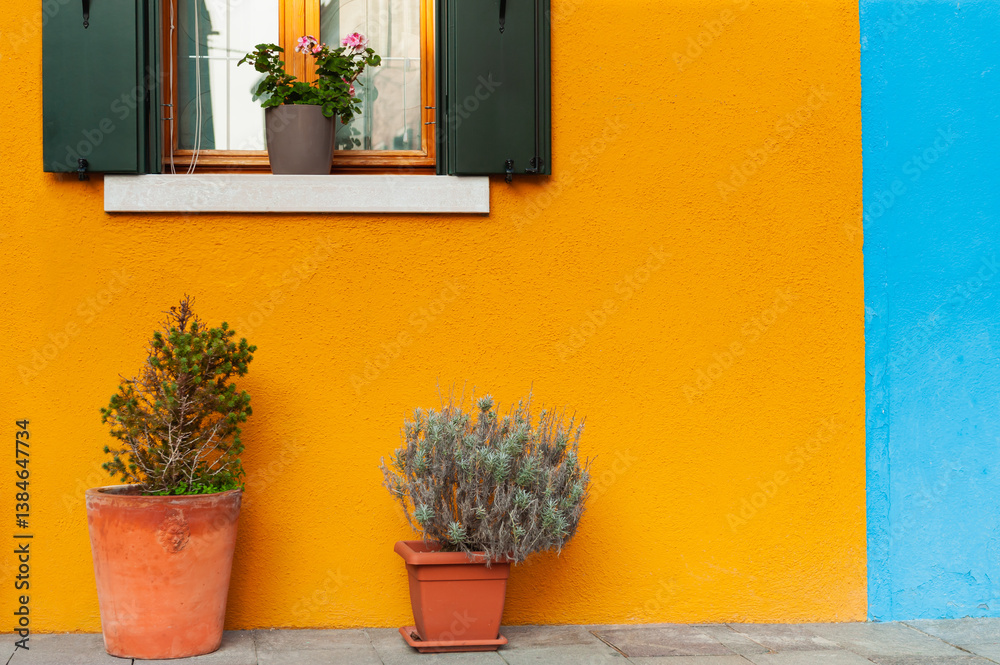 Yellow-painted facade of the house and decorative flowers in pots.