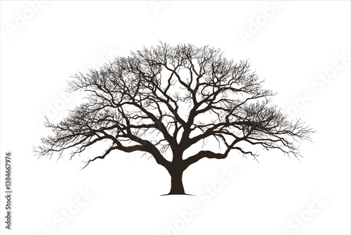 Tree silhouette 