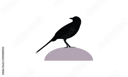 African pied wagtail bird Silhouette Design  And Vector Illustration. 
