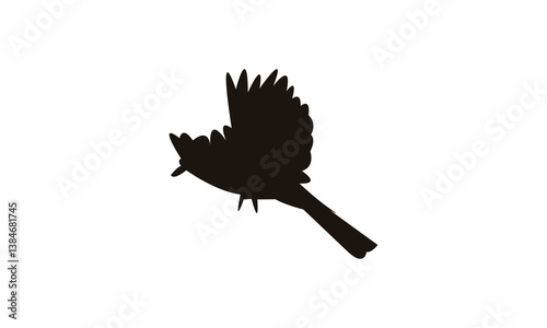 African pied wagtail bird Silhouette Design  And Vector Illustration. 
