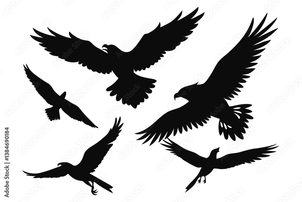 Fototapeta premium Eagles Flying Silhouette Collection on Transparent Background