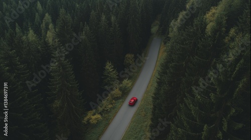 Serene drive along winding forest road in vibrant autumn landscape