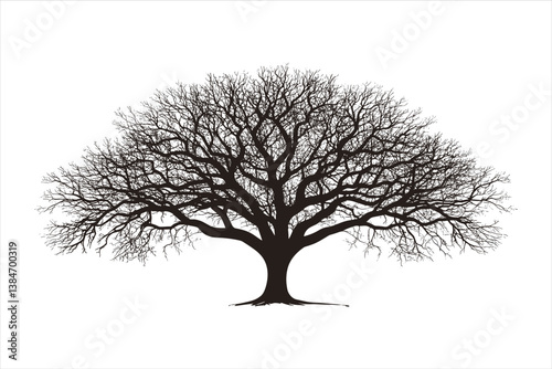 Tree silhouette 