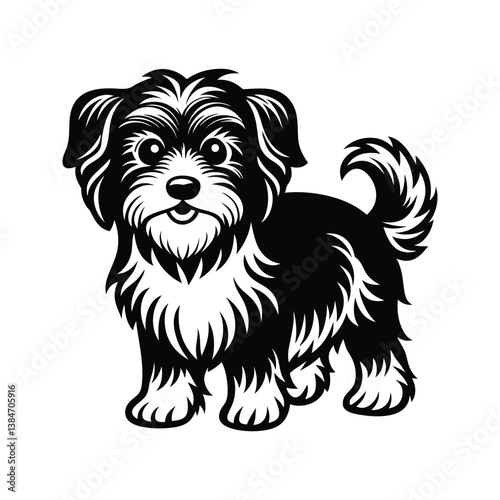 Black and white Havanese dog standing with big eyes silhouette isolated on white background