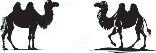 camel black and white silhouette