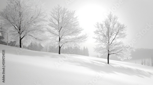 Serene white snowy landscape with elegant curves and soft shadows under a light gray sky