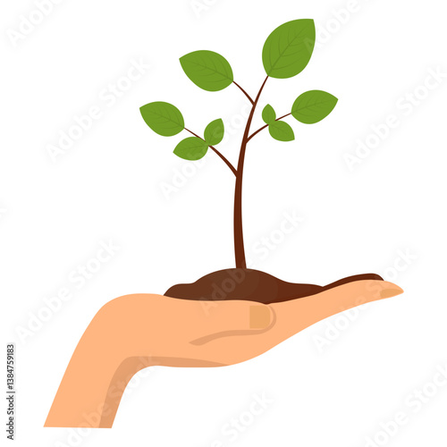 Reforestation Illustration