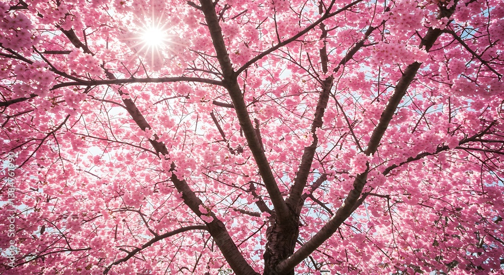 Obraz premium Sunlit Blossom Canopy AI Generated