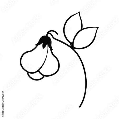 pear with leaf