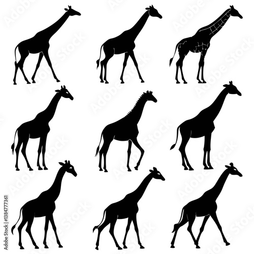 animals silhouettes vector
