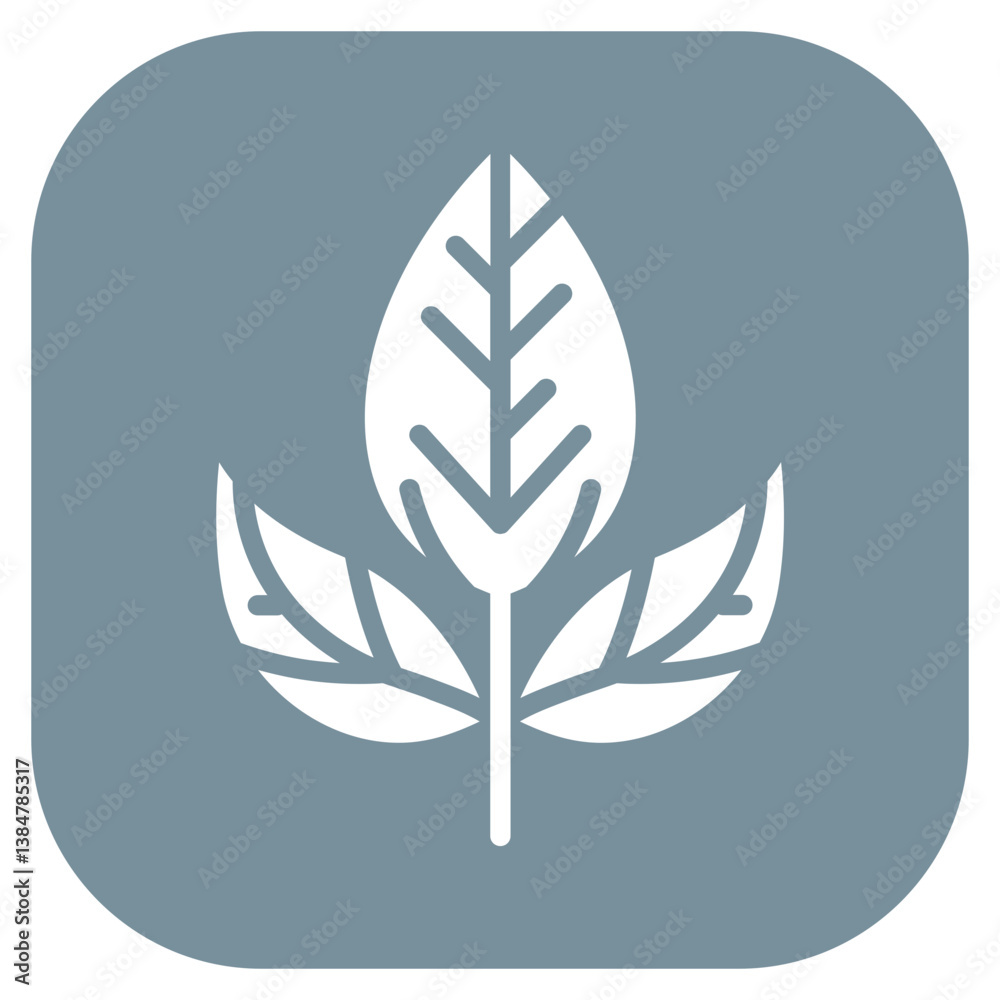 Fototapeta premium Sage Leaves Vector Icon