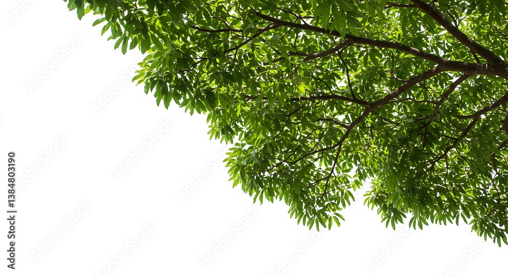 Obraz premium Emerald Canopy's Embrace AI Generated