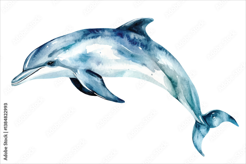 Obraz premium watercolor dolphin vector illustration, underwater ocean animal art isolated on white background