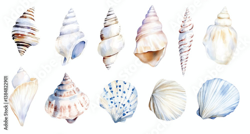 Seashells watercolor vector illustration set, underwater ocean animal art isolated on white background
